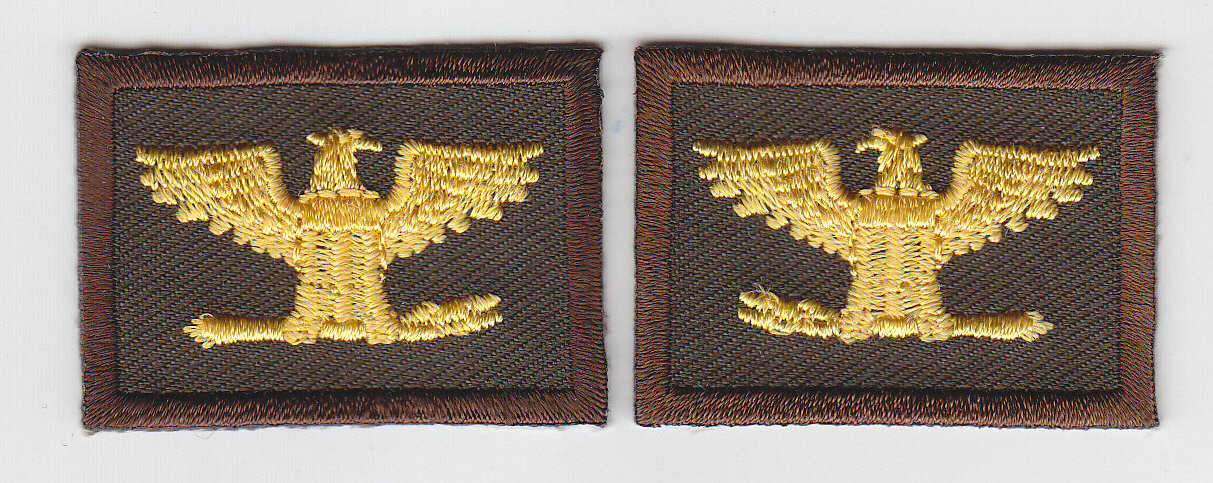 COL Colonel Eagles Birds MEDIUM GOLD on BROWN rank insignia collar lapel patches 1.75" LARGE